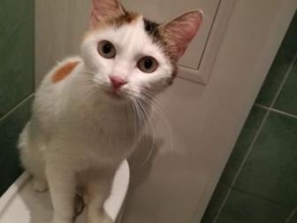      ,  3 ,    ,   ,  ,  ,  ,  