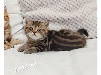   ,  !      ,    , ,  ,    ,  