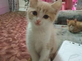  ,  31 ,   ,   ,       ,          
