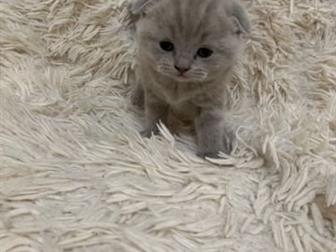   -   ,  ,  ,         ,   !   