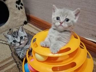 ,  16 ,  :    ,    ,   ,      ,    