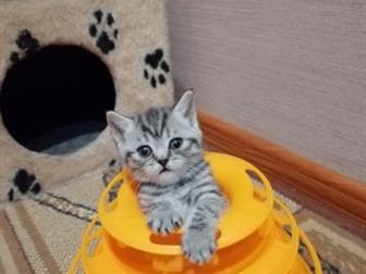  ,  16 ,  :    ,    ,   ,      ,    