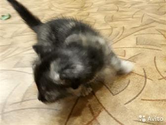        !  