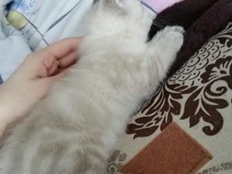  ,  1 , -   , -    