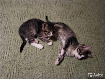    , 2 , ,   ,  