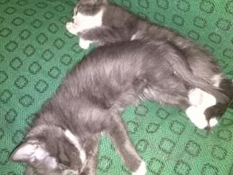      , 2  ,     ,         ))))  