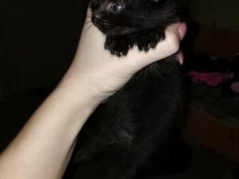 !!!  ,  ,   21 ,  