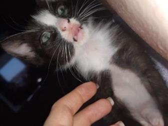      ,   ,    ,  ,     ,  