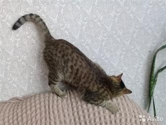      , , ,   ,,    ,   ,    ,   