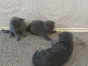 ��� � 2 ������� ����������� ��������� 2 ������, ����� �� �����, ������ ����, � �����