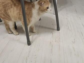  , , !  