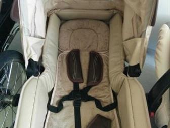 Navington Caravel Royal 2  1 -      -    ,         