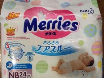  Merries 0-5 ,    24 ,  300 /24 ,  Merries, 4-8 : 1000 /82 ,  (3   82 , ): 800 /82   