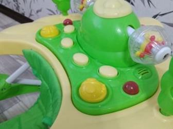  Babyton Quack Green  6  14 ,    : /  