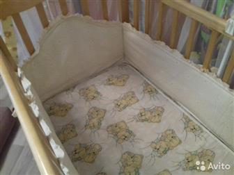      ( ),   ,   3 ,    ,  ,     ,   