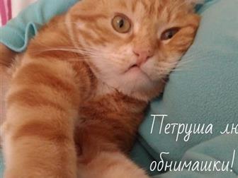 ,  ,  , ,   ,   ,   ,   4-5 ,       ,  -