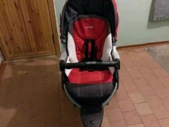   - peg perego gt3,     ,  , : /  