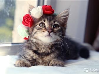  , 2 ,   !!!  ,   !,     ,     ,  