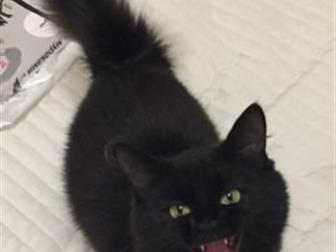     ( )  ,  ,   ,    )))))     ,    
