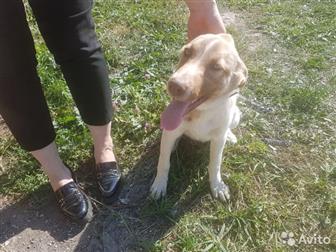     - ,  5 ,  ,  ,    !     ,   !  