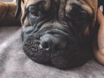  ,  ,  1,5 ,  60 ,    ,  