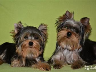     , ,           ,  (   ),5 , -  ,    