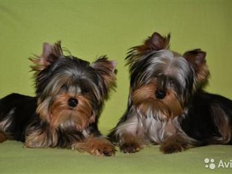     , ,           ,  (   ),5 , -  ,    