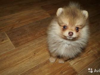  , , , ,  2,5 -   ,    !    -   !  