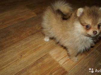  , , , ,  2,5 -   ,    !    -   !  