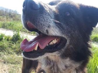    !      ,        ,        ,    