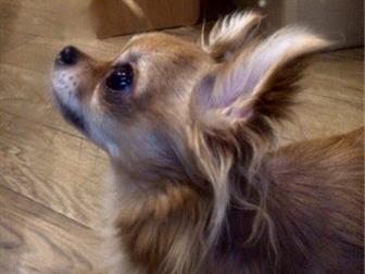   ,  4 , ,  1,7 , , ,  ),   ,     5-6 ,   ,  