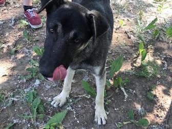  !       ,           !  ,      