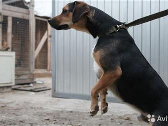     ,      8 ,      ,   -  8 ,    , ,  , ,  