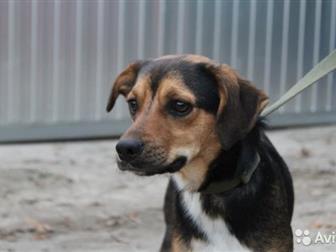     ,      8 ,      ,   -  8 ,    , ,  , ,  