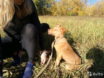 ,  , , ,     -,    (      ), ,    ,  