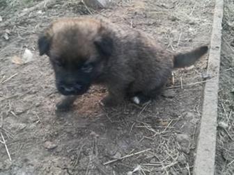   16, 09, 2019,      ,    ,  2 ,      ,  ,  