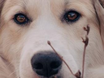     ,   7-8 ,    ,    ,   ,   ,  