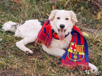     ,   7-8 ,    ,    ,   ,   ,  