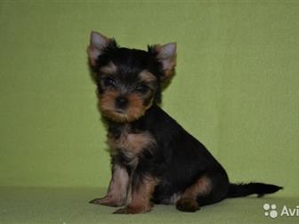      20   ,      ,   9 ,    ,  ,  ,    