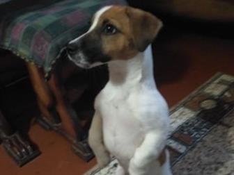   --,   4  2 ,  12, 06, 2019   ,          ,  