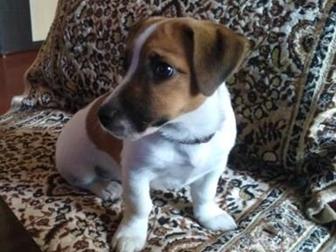   --,   4  2 ,  12, 06, 2019   ,          ,  