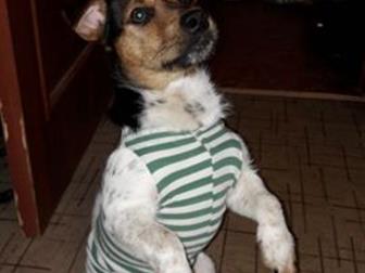      ,       ,    ,     ,  