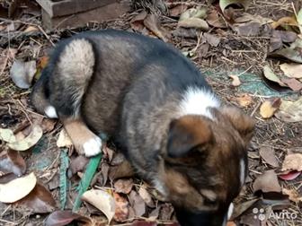   - 2 ,   ,    ,    ,   ,     ,     