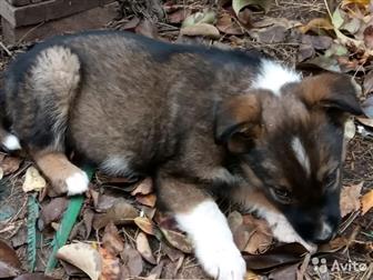   - 2 ,   ,    ,    ,   ,     ,     