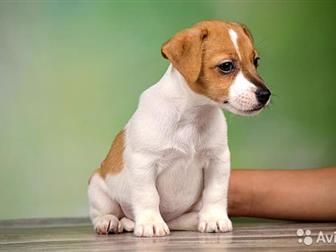     , ,      ,  17, 07, 19,  ,, ,  