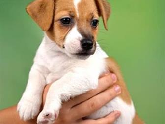     , ,      ,  17, 07, 19,  ,, ,  