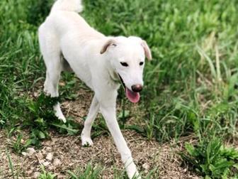     ,       ,   ,  ,   ,  