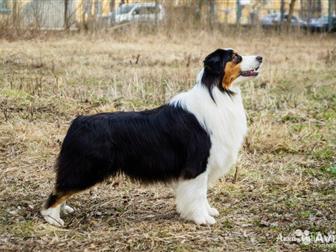   -   ( ) ,  , ,      , ,  