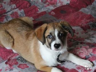  , 3 ,    (    ),    : ,  , , ,       