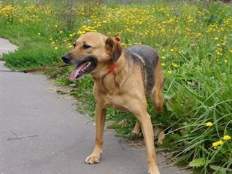 ,   ,   ,  ,   ,      ))) -,    , ,  